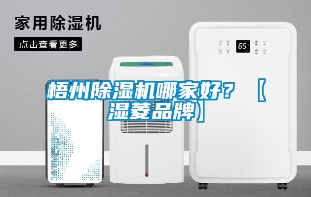 梧州除濕機(jī)哪家好?【濕菱品牌】