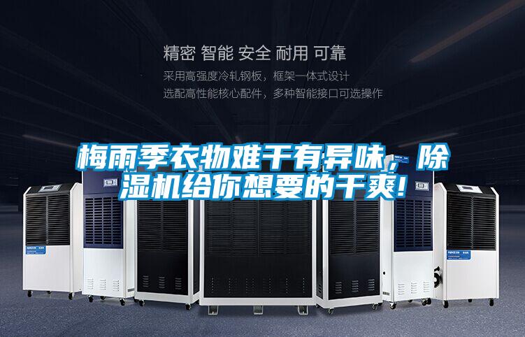 梅雨季衣物難干有異味，除濕機給你想要的干爽!