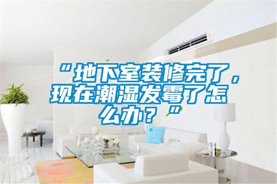 “地下室裝修完了,現(xiàn)在潮濕發(fā)霉了怎么辦?”