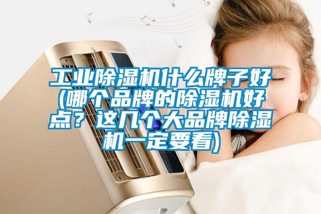 工業(yè)除濕機(jī)什么牌子好(哪個(gè)品牌的除濕機(jī)好點(diǎn)?這幾個(gè)大品牌除濕機(jī)一定要看)