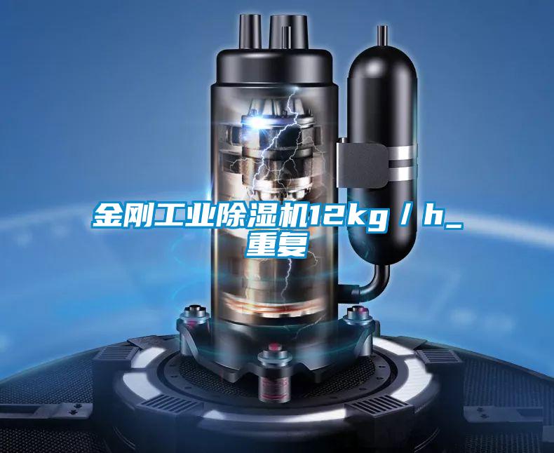金剛工業(yè)除濕機12kg/h_重復