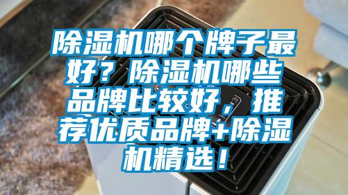 除濕機哪個牌子最好？除濕機哪些品牌比較好，推薦優質品牌+除濕機精選！