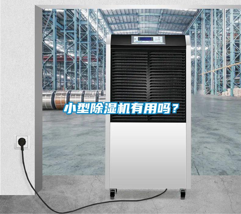 小型除濕機有用嗎？