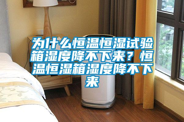 為什么恒溫恒濕試驗箱濕度降不下來？恒溫恒濕箱濕度降不下來