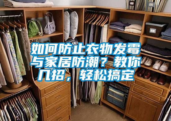 如何防止衣物發(fā)霉與家居防潮？教你幾招，輕松搞定
