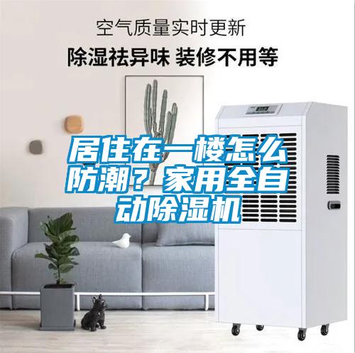 居住在一樓怎么防潮?家用全自動除濕機(jī)