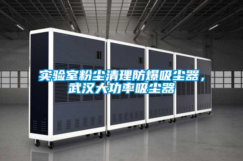 實(shí)驗(yàn)室粉塵清理防爆吸塵器,武漢大功率吸塵器