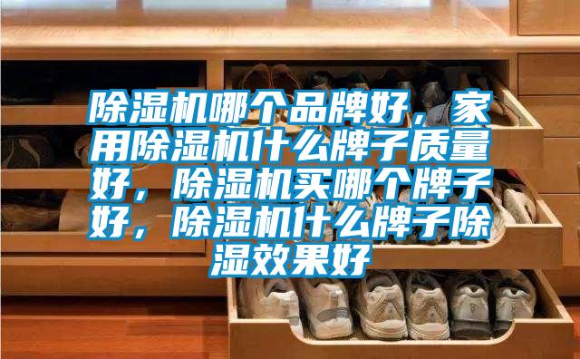 除濕機(jī)哪個(gè)品牌好，家用除濕機(jī)什么牌子質(zhì)量好，除濕機(jī)買哪個(gè)牌子好，除濕機(jī)什么牌子除濕效果好