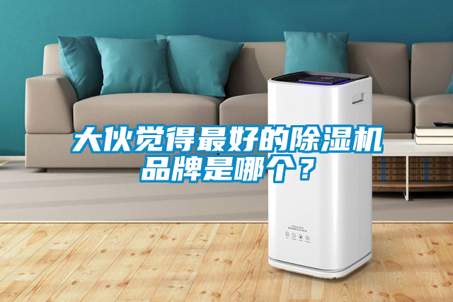 大伙覺得最好的除濕機(jī)品牌是哪個(gè)？