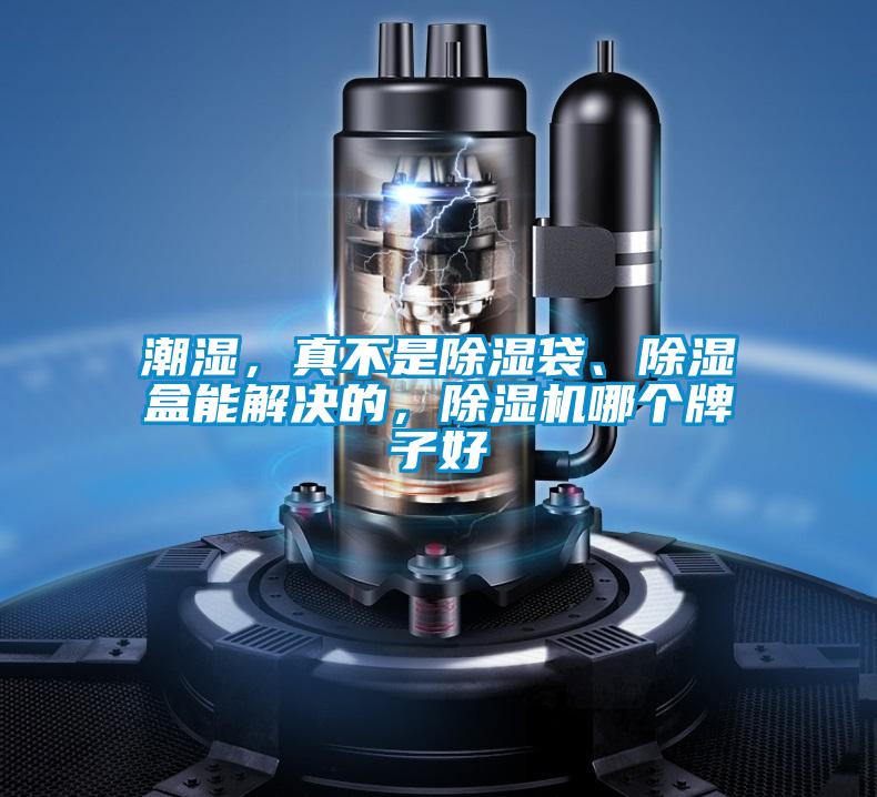 潮濕，真不是除濕袋、除濕盒能解決的，除濕機哪個牌子好
