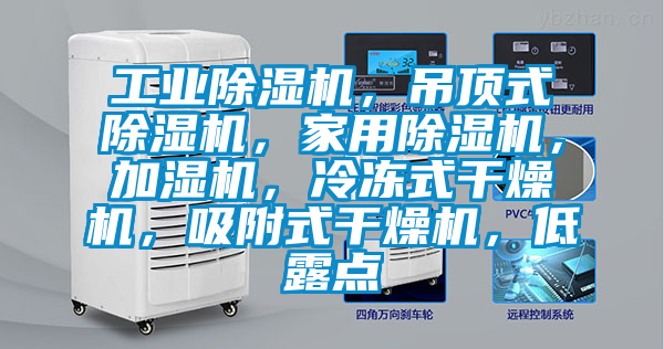 工業除濕機，吊頂式除濕機，家用除濕機，加濕機，冷凍式干燥機，吸附式干燥機，低露點