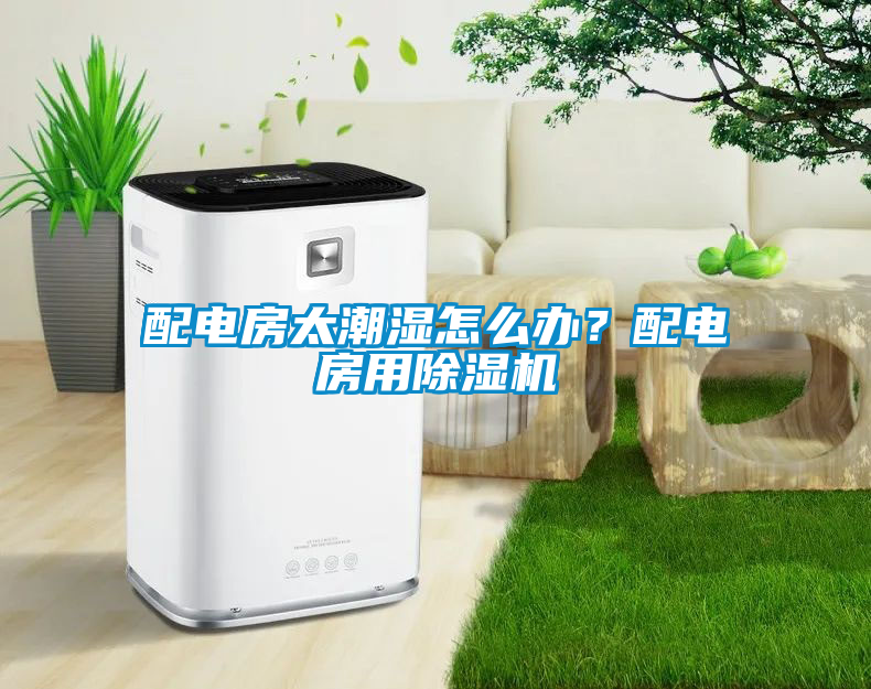 配電房太潮濕怎么辦？配電房用除濕機(jī)
