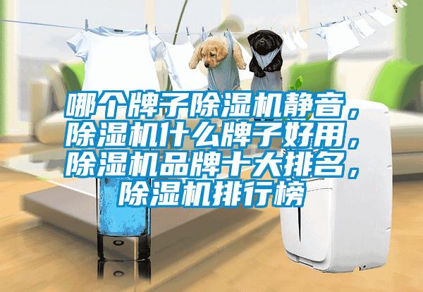 哪個(gè)牌子除濕機(jī)靜音,除濕機(jī)什么牌子好用,除濕機(jī)品牌十大排名,除濕機(jī)排行榜