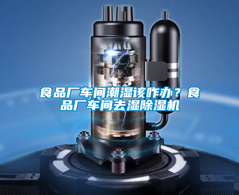 食品廠車間潮濕該咋辦?食品廠車間去濕除濕機(jī)
