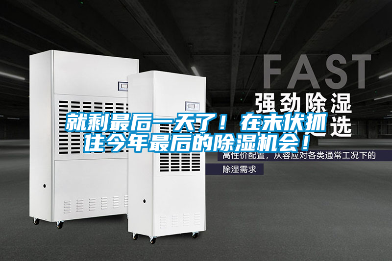 就剩最后一天了！在末伏抓住今年最后的除濕機會！