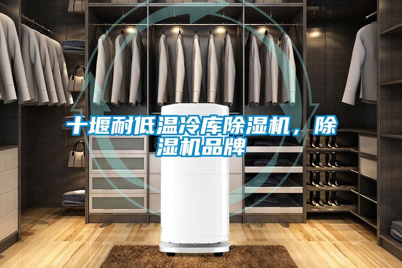 十堰耐低溫冷庫除濕機，除濕機品牌