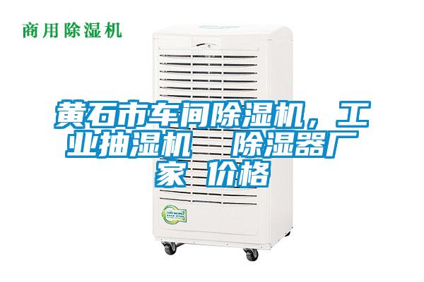 黃石市車間除濕機，工業抽濕機  除濕器廠家 價格