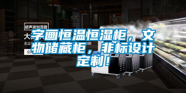 字畫恒溫恒濕柜,文物儲藏柜,非標(biāo)設(shè)計(jì)定制!