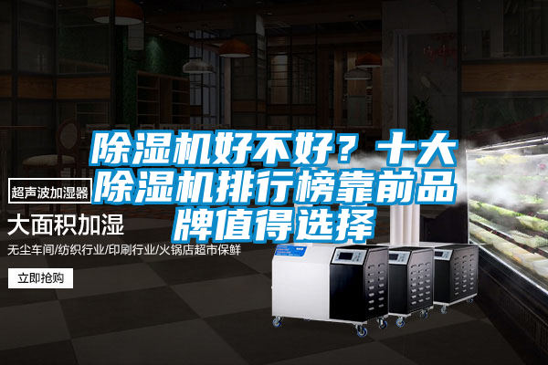 除濕機好不好？十大除濕機排行榜靠前品牌值得選擇