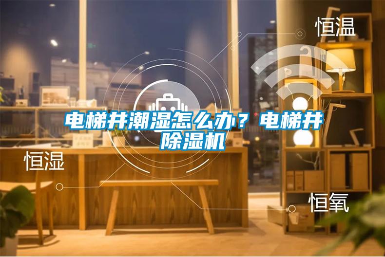 電梯井潮濕怎么辦？電梯井除濕機