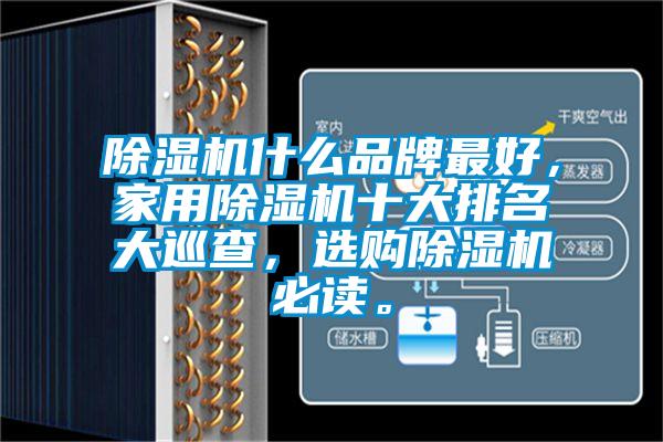 除濕機什么品牌最好，家用除濕機十大排名大巡查，選購除濕機必讀。