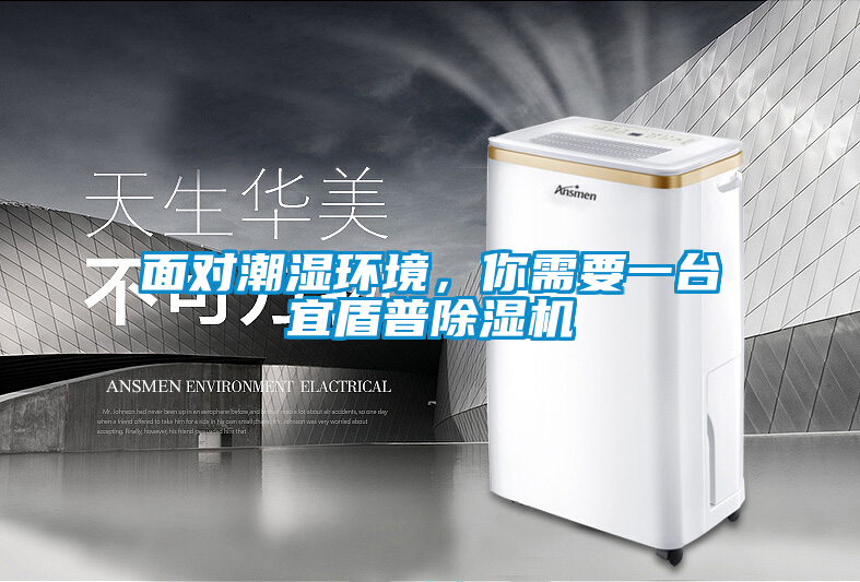 面對潮濕環境,你需要一臺宜盾普除濕機