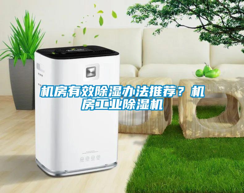 機房有效除濕辦法推薦？機房工業除濕機
