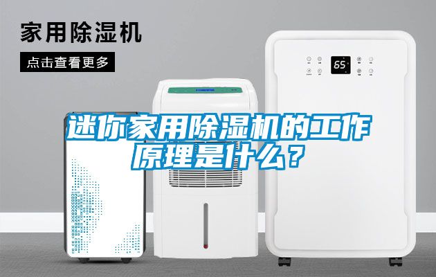 迷你家用除濕機的工作原理是什么？