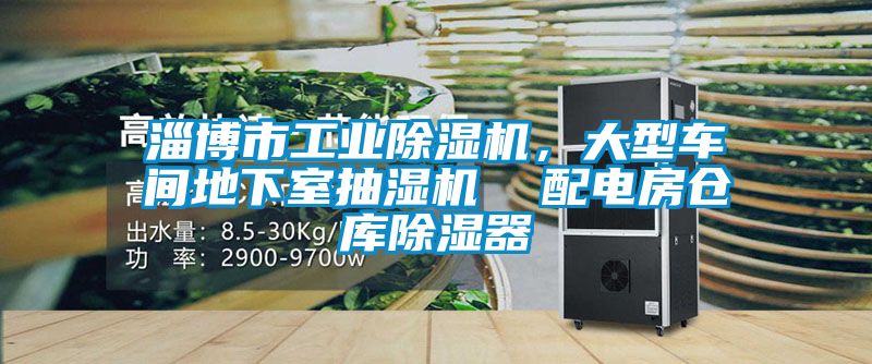淄博市工業(yè)除濕機，大型車間地下室抽濕機  配電房倉庫除濕器
