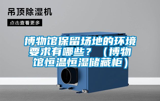 博物館保留場地的環境要求有哪些?(博物館恒溫恒濕儲藏柜)