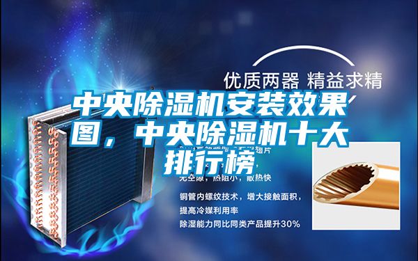 中央除濕機安裝效果圖，中央除濕機十大排行榜