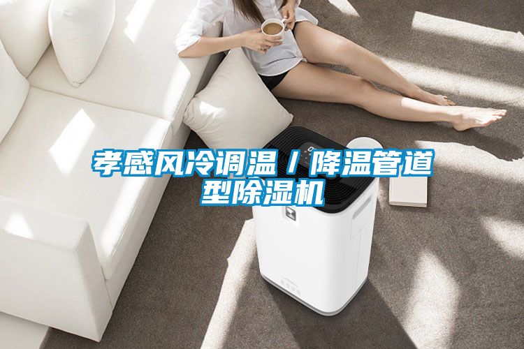 孝感風冷調溫/降溫管道型除濕機