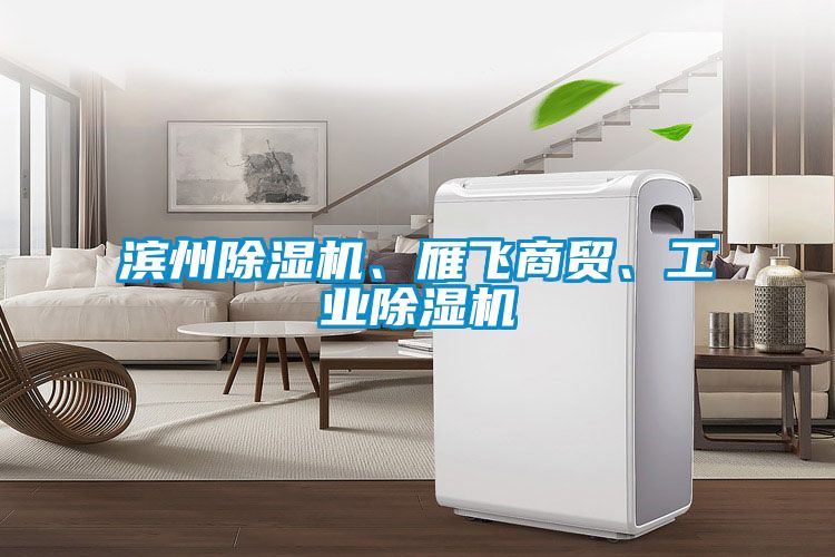 濱州除濕機、雁飛商貿、工業除濕機