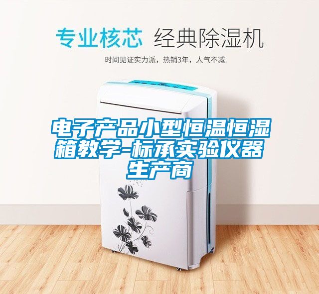 電子產(chǎn)品小型恒溫恒濕箱教學-標承實驗儀器生產(chǎn)商
