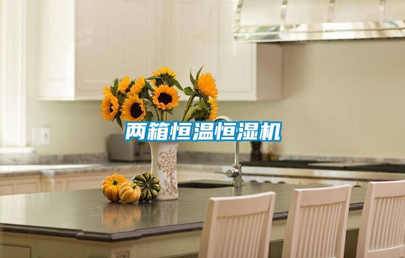 兩箱恒溫恒濕機