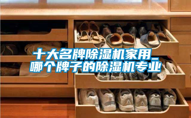 十大名牌除濕機家用_哪個牌子的除濕機專業(yè)