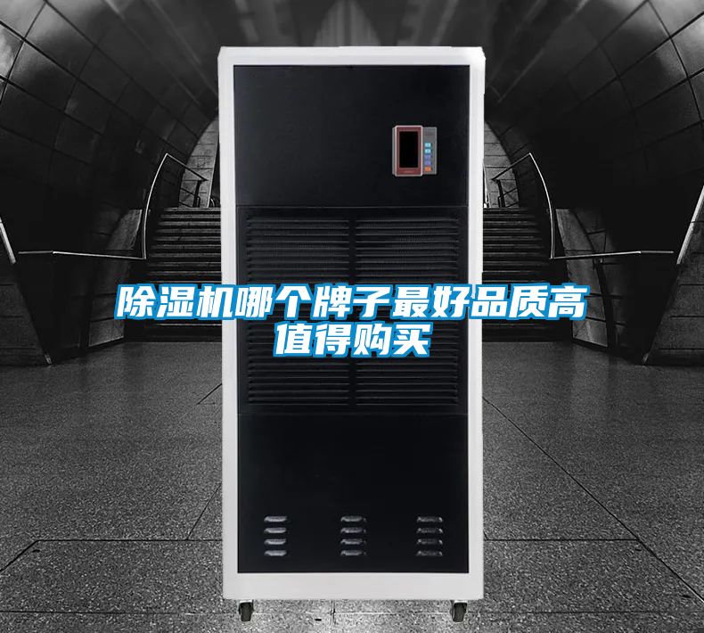 除濕機(jī)哪個(gè)牌子最好品質(zhì)高值得購買