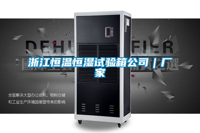 浙江恒溫恒濕試驗箱公司|廠家