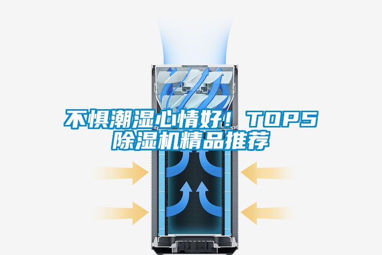 不懼潮濕心情好!TOP5除濕機(jī)精品推薦