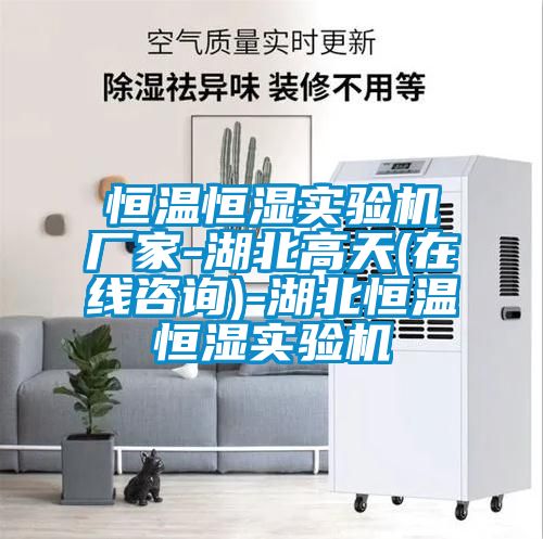 恒溫恒濕實(shí)驗(yàn)機(jī)廠家-湖北高天(在線咨詢(xún))-湖北恒溫恒濕實(shí)驗(yàn)機(jī)