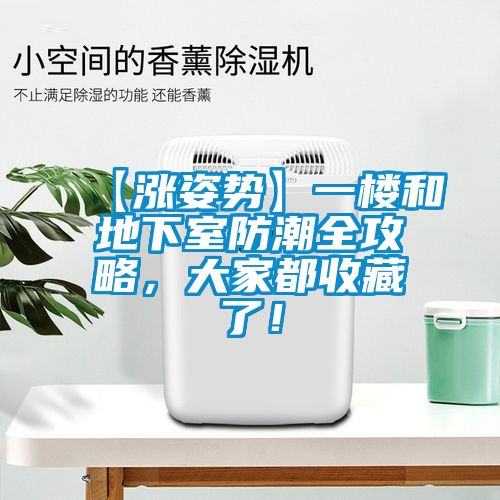 【漲姿勢】一樓和地下室防潮全攻略,大家都收藏了!