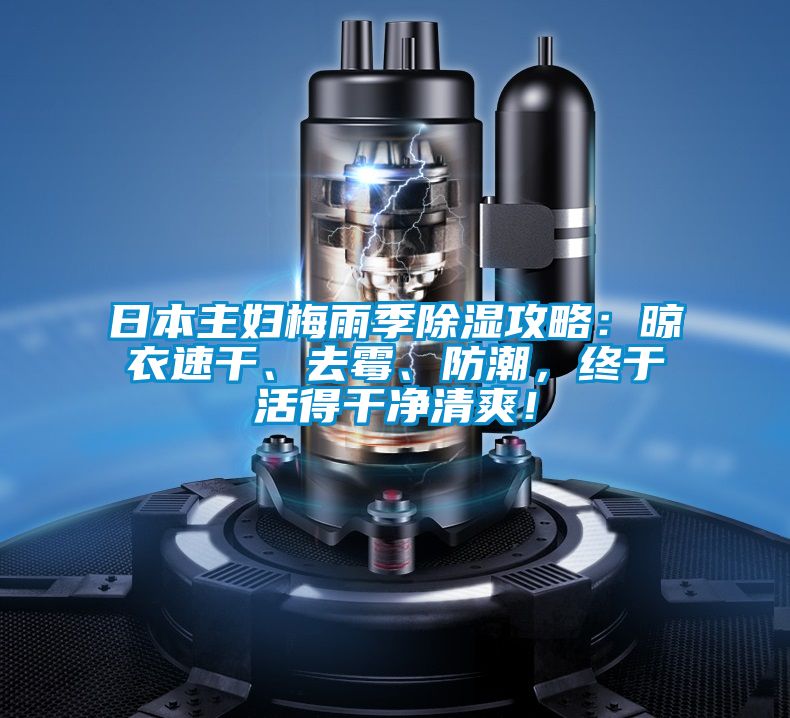 日本主婦梅雨季除濕攻略：晾衣速干、去霉、防潮，終于活得干凈清爽！