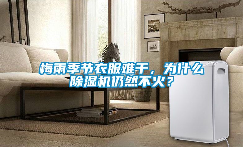 梅雨季節衣服難干，為什么除濕機仍然不火？