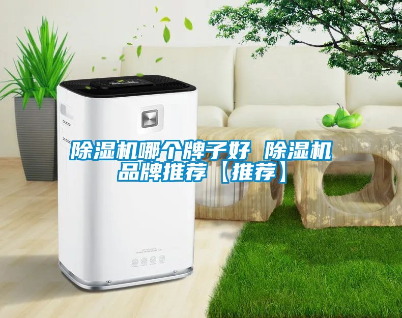 除濕機哪個牌子好 除濕機品牌推薦【推薦】
