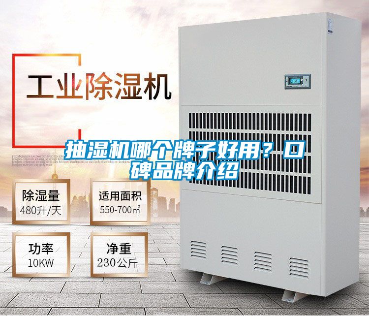 抽濕機哪個牌子好用？口碑品牌介紹