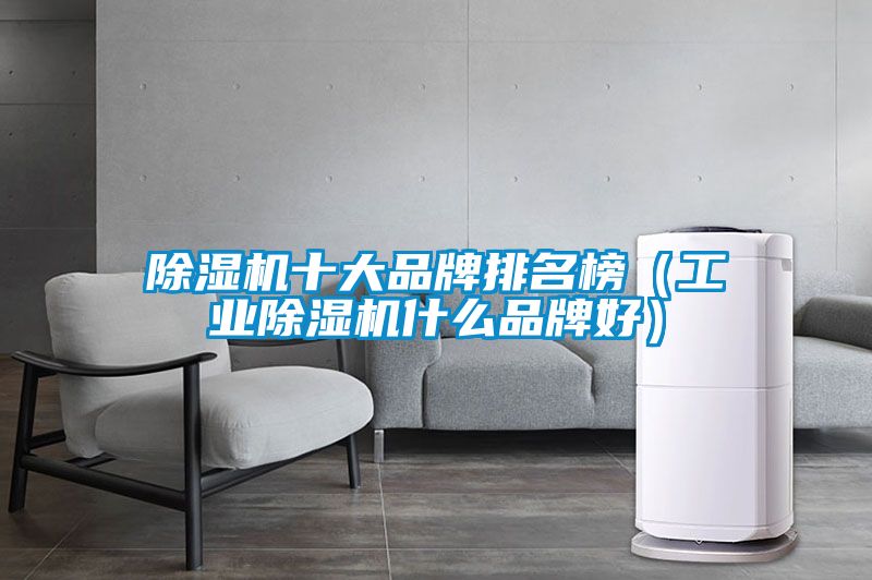 除濕機(jī)十大品牌排名榜(工業(yè)除濕機(jī)什么品牌好)